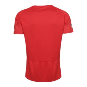 Jalkapallo Pelipaidat/Peliasut Nottingham Forest Kotipelipaita 2023-24